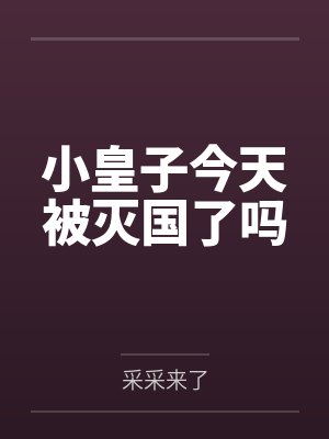 小皇子今天被灭国了吗